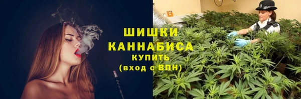 дурь Иннополис