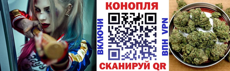 Купить  Торопец  Шишки марихуана семена 
